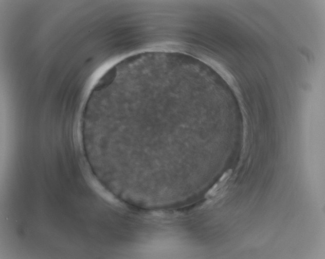 X0000113850960200910081643