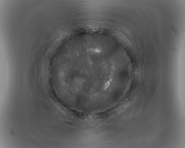 X0000113850961200910081642