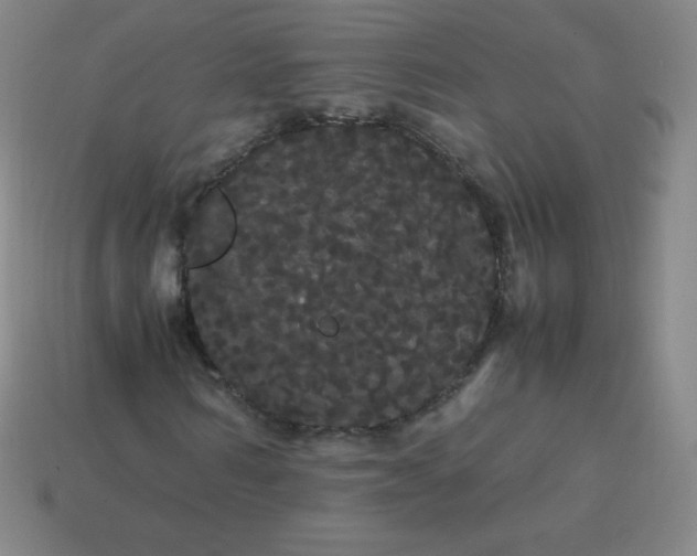 X0000113850962200910081642