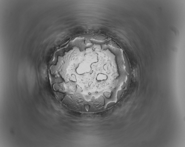 X0000113850963200910081642