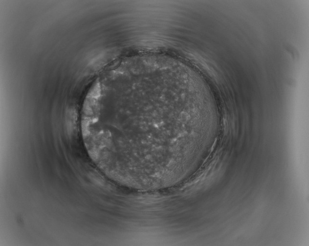 X0000113850964200910081642