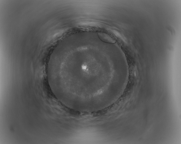 X0000113850965200910081642