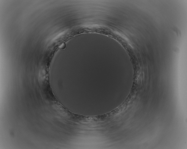 X0000113850966200910081642