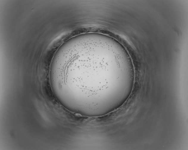 X0000113850967200910081642