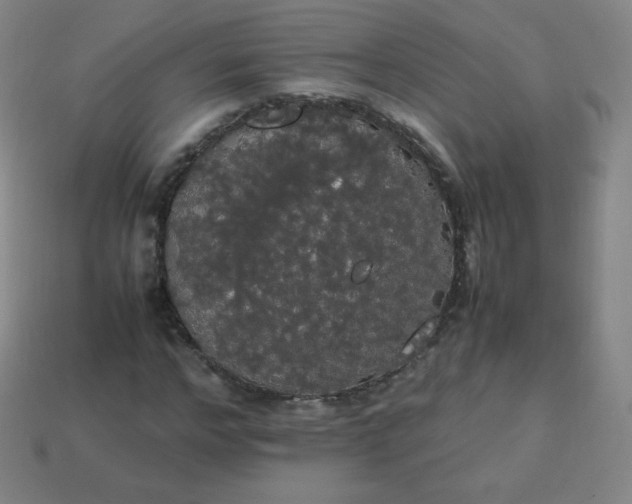 X0000113850968200910081642