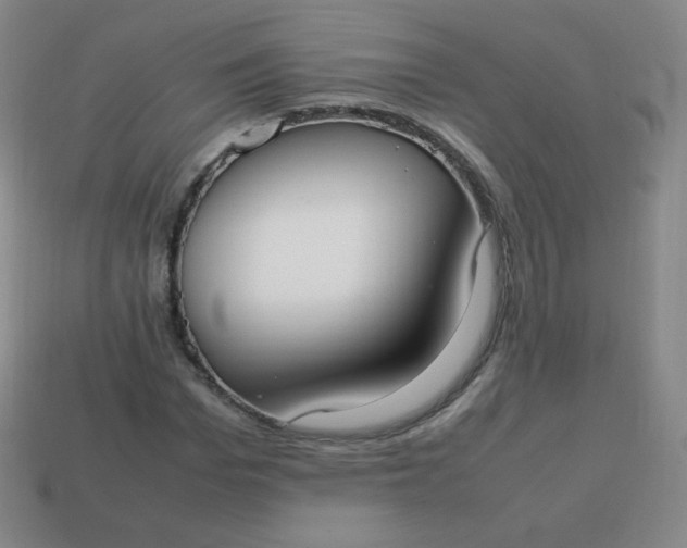 X0000113850969200910081642