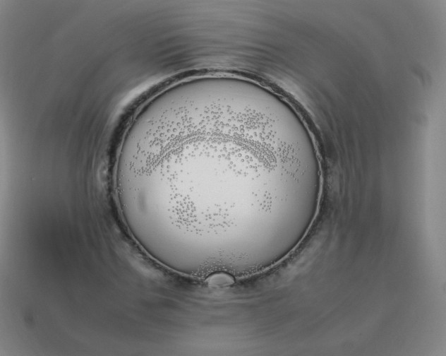 X0000113850971200910081642