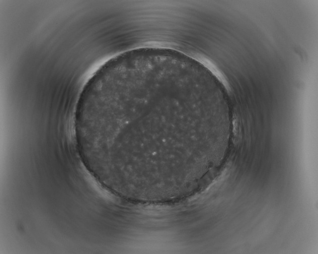 X0000113850972200910081642