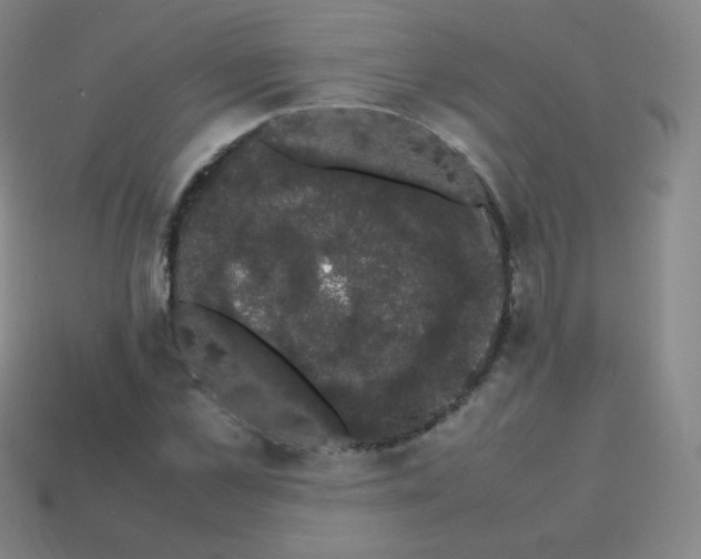 X0000113850973200910081642