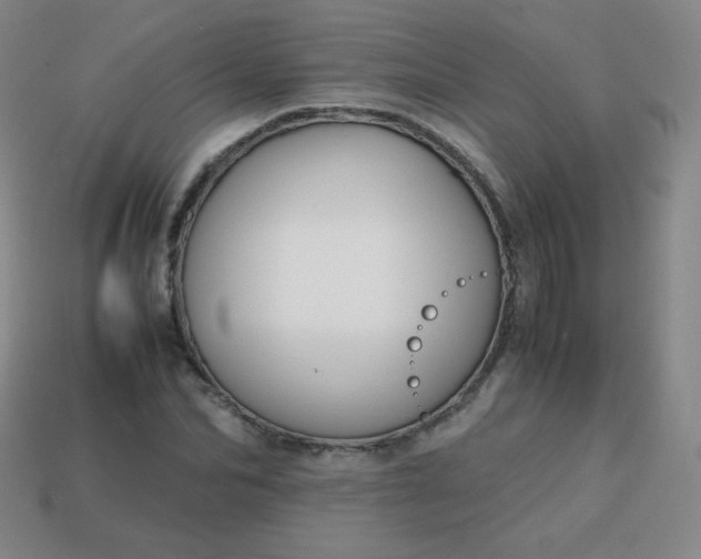 X0000113850974200910081642