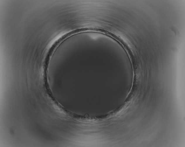 X0000113850975200910081642