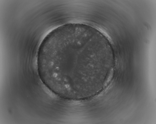 X0000113850976200910081642