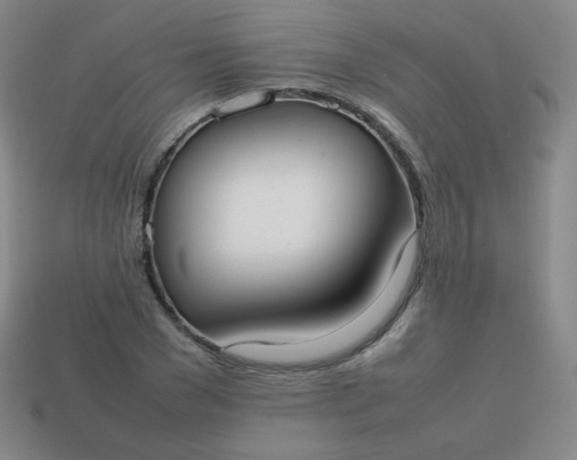 X0000113850977200910081642