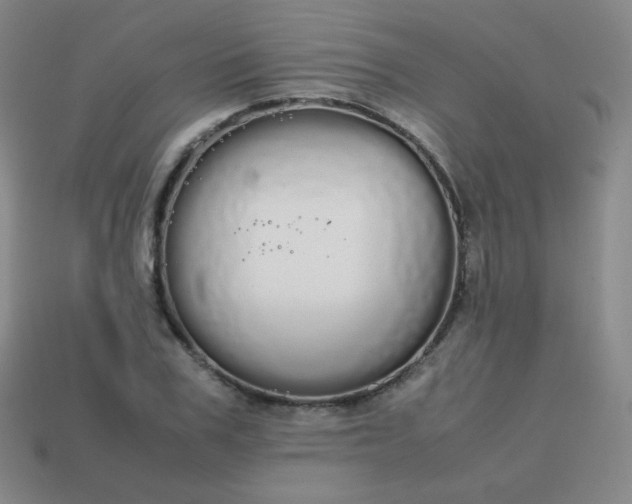 X0000113850979200910081642