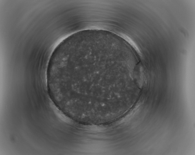 X0000113850980200910081642