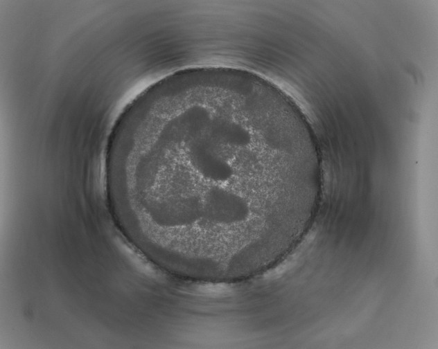 X0000113850982200910081642