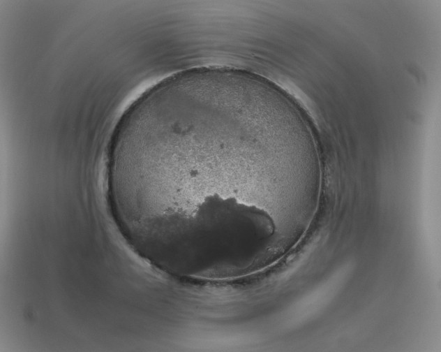 X0000113850983200910081642