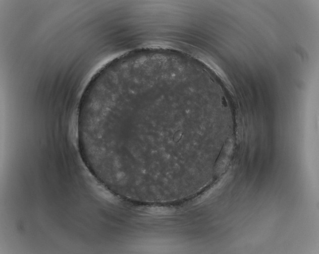 X0000113850984200910081642