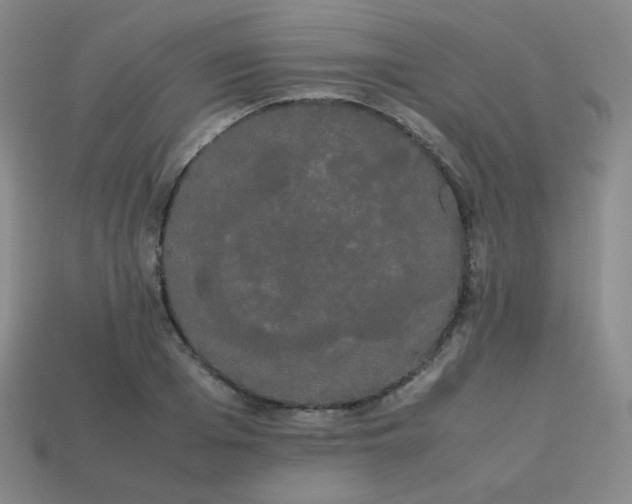 X0000113850985200910081642