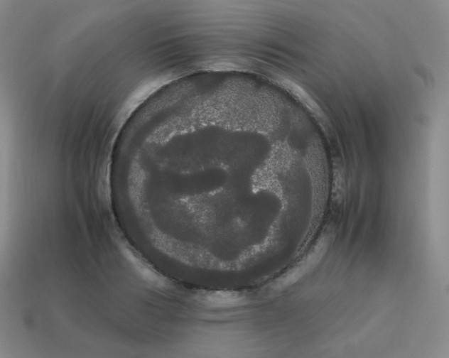 X0000113850986200910081642