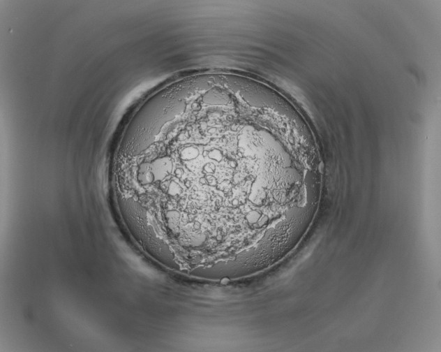 X0000113850987200910081642