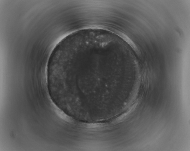 X0000113850988200910081642