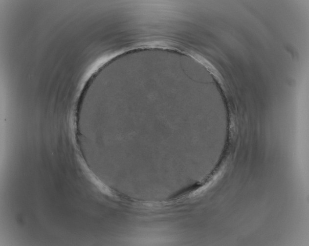 X0000113850989200910081642