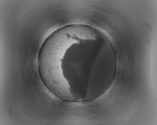 X0000113850990200910081642