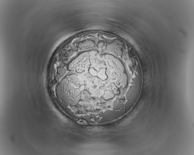 X0000113850991200910081642