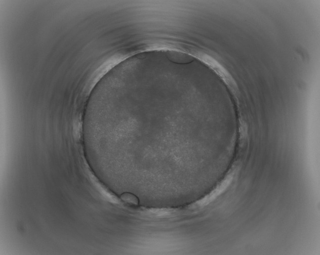 X0000113850993200910081642