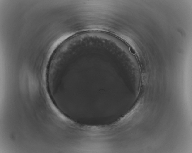 X0000113850995200910081642