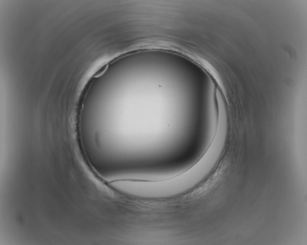 X0000113850997200910081642