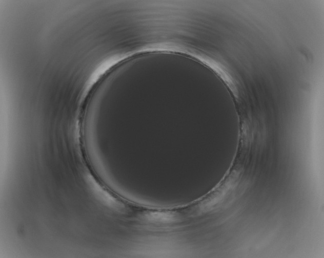 X0000113850998200910081642