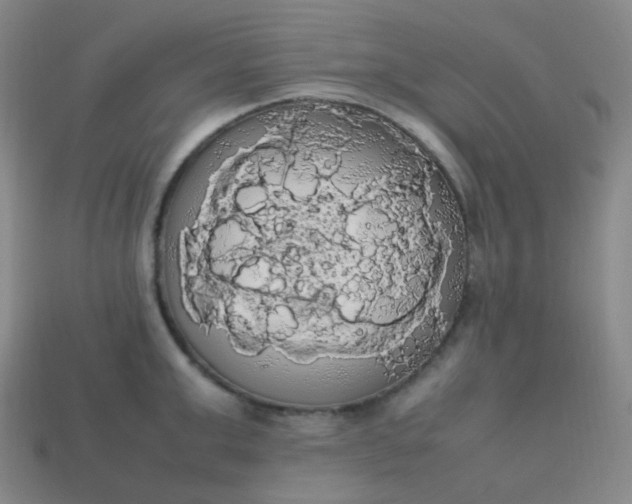 X0000113850999200910081642