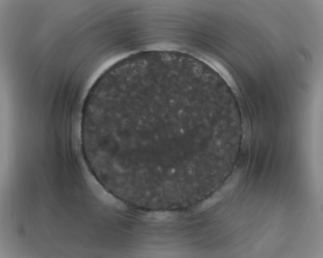 X0000113851000200910081642