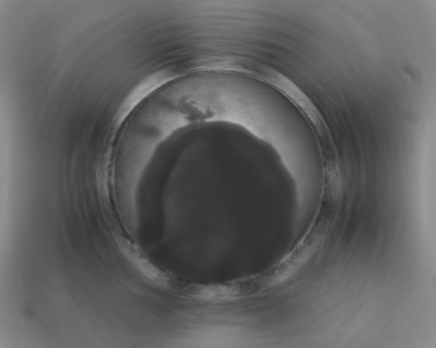 X0000113851002200910081642