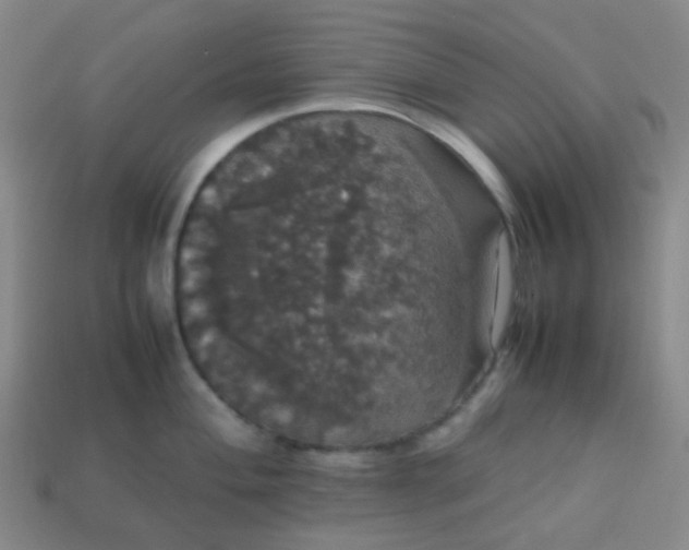 X0000113851004200910081642