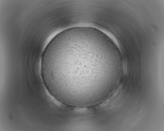 X0000113851006200910081642