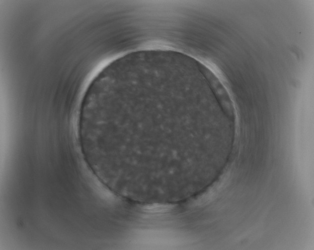 X0000113851008200910081642