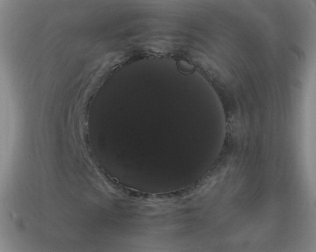 X0000113851009200910081641