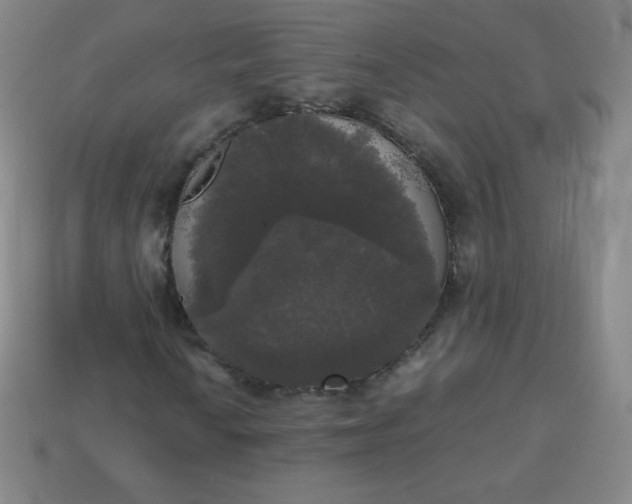 X0000113851010200910081641