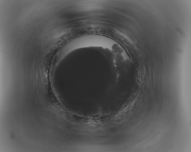 X0000113851013200910081641