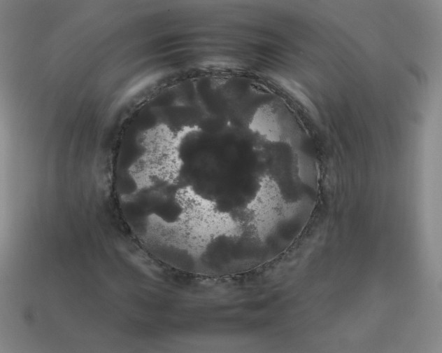 X0000113851015200910081641