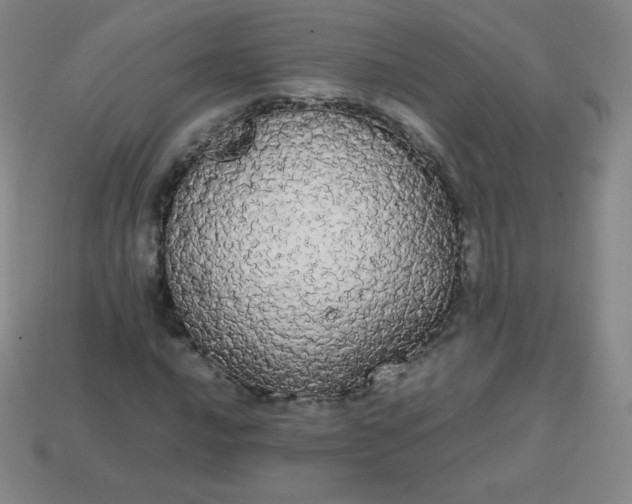 X0000113851016200910081641