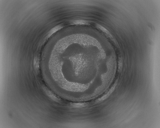 X0000113851017200910081641