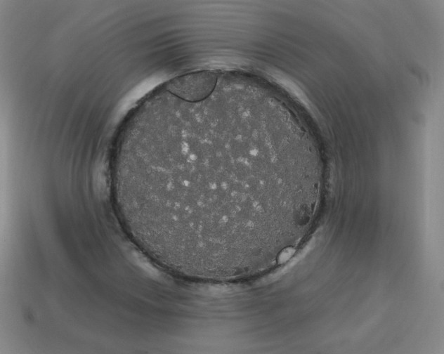 X0000113851018200910081641