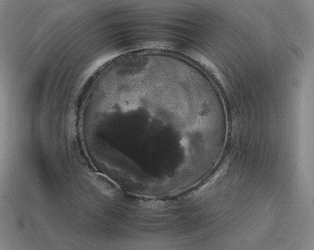 X0000113851019200910081641