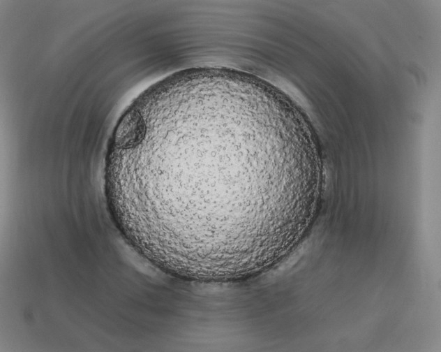 X0000113851020200910081641