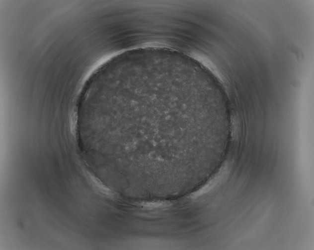 X0000113851021200910081641