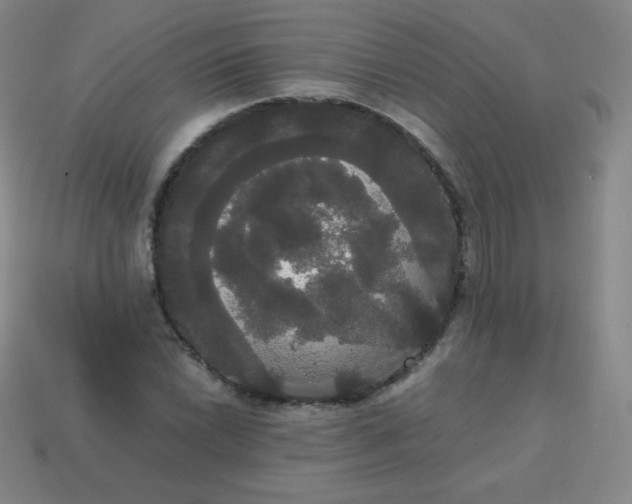 X0000113851022200910081641